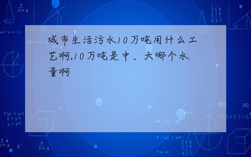 城市生活污水10万吨用什么工艺啊,10万吨是中、大哪个水量啊