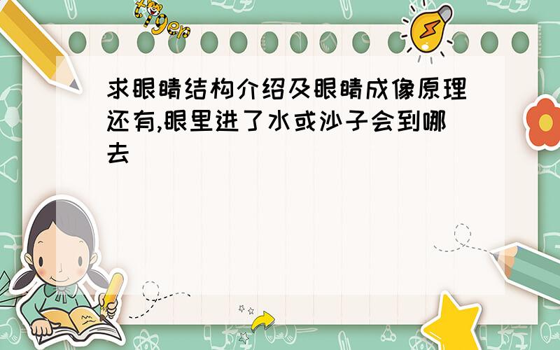 求眼睛结构介绍及眼睛成像原理还有,眼里进了水或沙子会到哪去