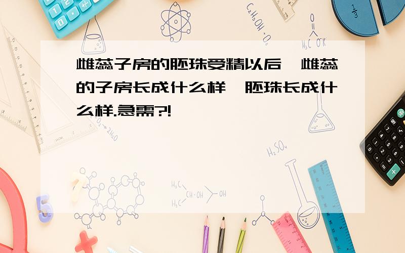 雌蕊子房的胚珠受精以后,雌蕊的子房长成什么样,胚珠长成什么样.急需?!