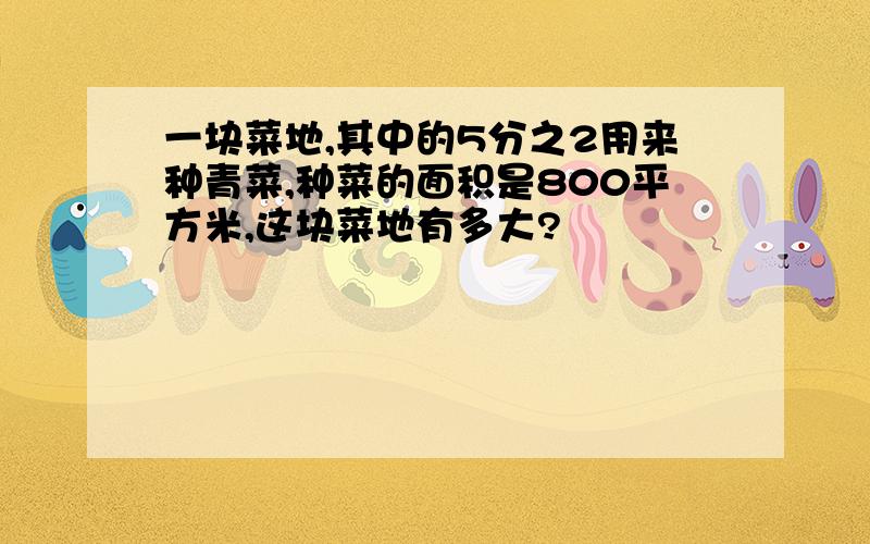 一块菜地,其中的5分之2用来种青菜,种菜的面积是800平方米,这块菜地有多大?