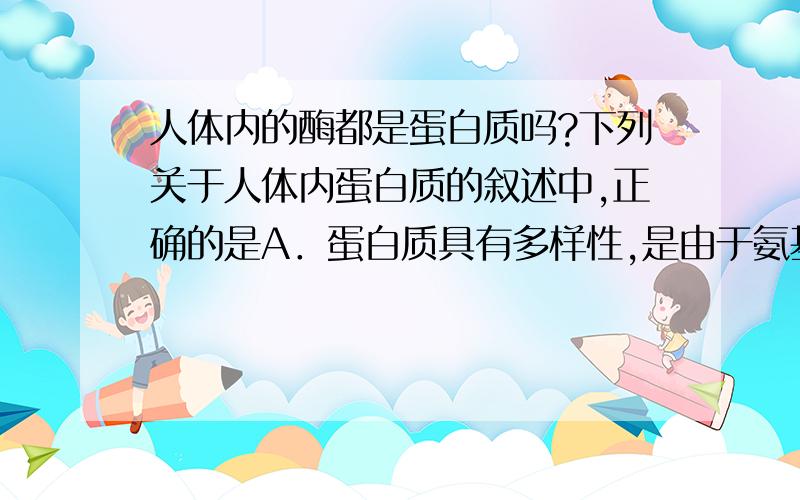 人体内的酶都是蛋白质吗?下列关于人体内蛋白质的叙述中,正确的是A．蛋白质具有多样性,是由于氨基酸的种类、数目、排列顺序和空间结构不同B．指导蛋白质合成的基因中的碱基有C、G、A