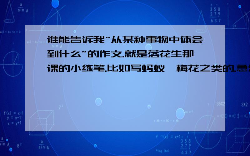 谁能告诉我“从某种事物中体会到什么”的作文.就是落花生那课的小练笔.比如写蚂蚁、梅花之类的.急注意,四百字.