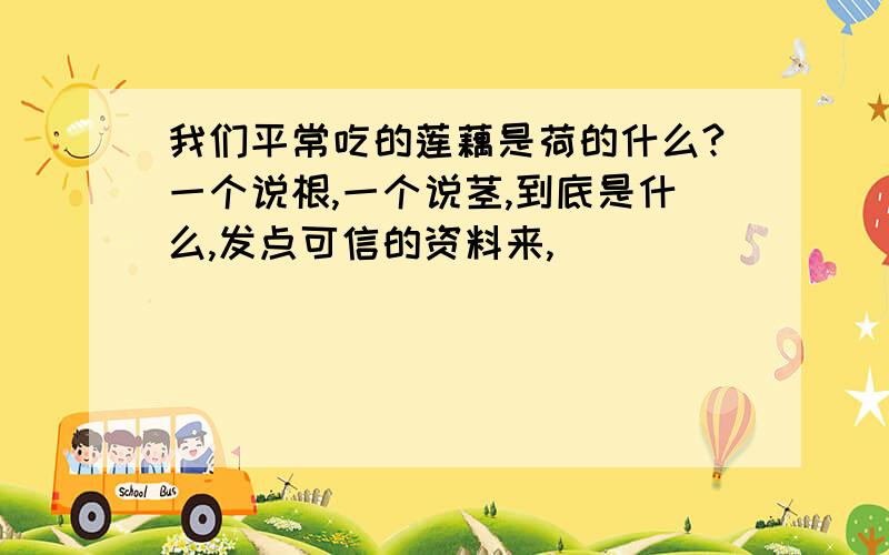 我们平常吃的莲藕是荷的什么?一个说根,一个说茎,到底是什么,发点可信的资料来,