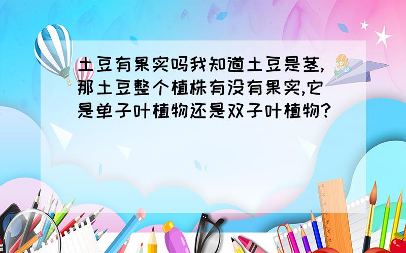 土豆有果实吗我知道土豆是茎,那土豆整个植株有没有果实,它是单子叶植物还是双子叶植物?