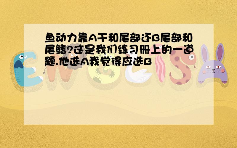 鱼动力靠A干和尾部还B尾部和尾鳍?这是我们练习册上的一道题.他选A我觉得应选B