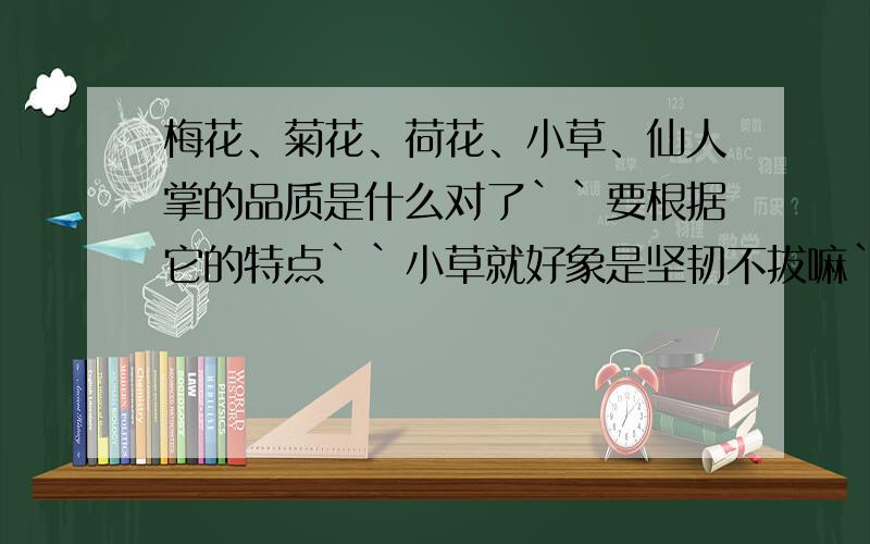 梅花、菊花、荷花、小草、仙人掌的品质是什么对了``要根据它的特点``小草就好象是坚韧不拔嘛``