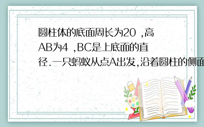 圆柱体的底面周长为20 ,高AB为4 ,BC是上底面的直径.一只蚂蚁从点A出发,沿着圆柱的侧面爬行到点C,试求出爬行的最短路程