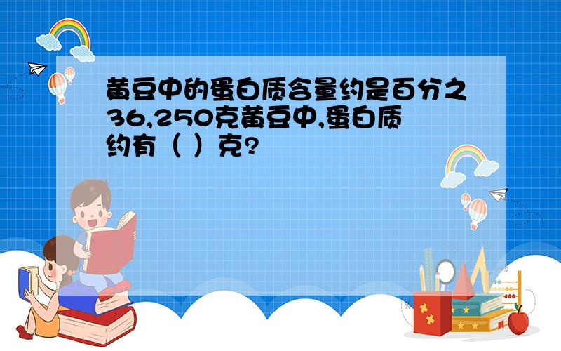 黄豆中的蛋白质含量约是百分之36,250克黄豆中,蛋白质约有（ ）克?