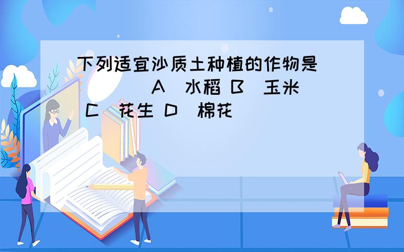 下列适宜沙质土种植的作物是___ _ A．水稻 B．玉米 C．花生 D．棉花