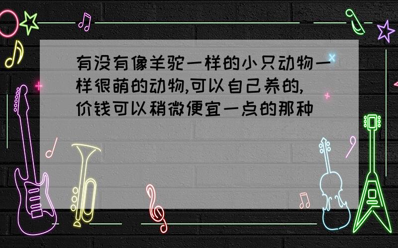 有没有像羊驼一样的小只动物一样很萌的动物,可以自己养的,价钱可以稍微便宜一点的那种