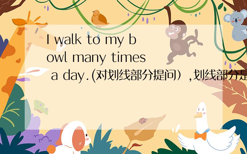 I walk to my bowl many times a day.(对划线部分提问）,划线部分是many times___ ___ ____do you ___to___bowl!