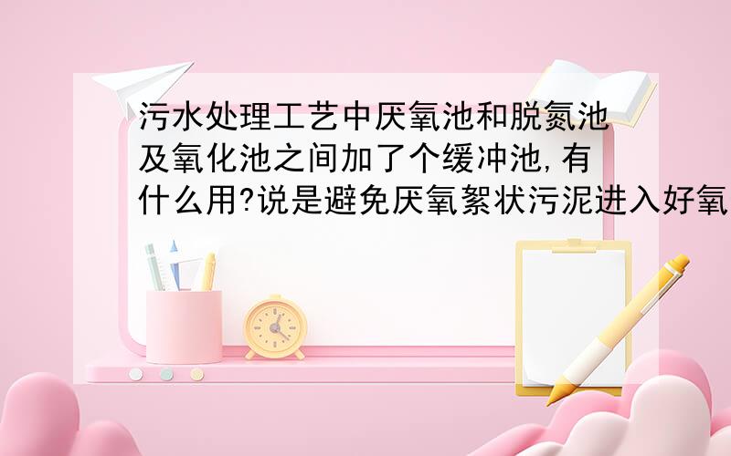 污水处理工艺中厌氧池和脱氮池及氧化池之间加了个缓冲池,有什么用?说是避免厌氧絮状污泥进入好氧生化系统对后续处理不利,有什么不利的?