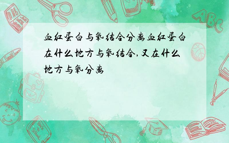 血红蛋白与氧结合分离血红蛋白在什么地方与氧结合,又在什么地方与氧分离