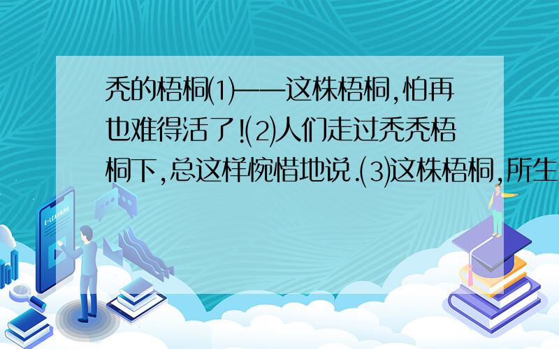 秃的梧桐⑴——这株梧桐,怕再也难得活了!⑵人们走过秃秃梧桐下,总这样惋惜地说.⑶这株梧桐,所生的地点,真有点奇怪,我们所住的屋子,本来分做两下给两家住的,这株梧桐,恰恰长在屋前的正