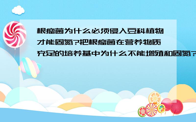 根瘤菌为什么必须侵入豆科植物才能固氮?把根瘤菌在营养物质充足的培养基中为什么不能增殖和固氮?