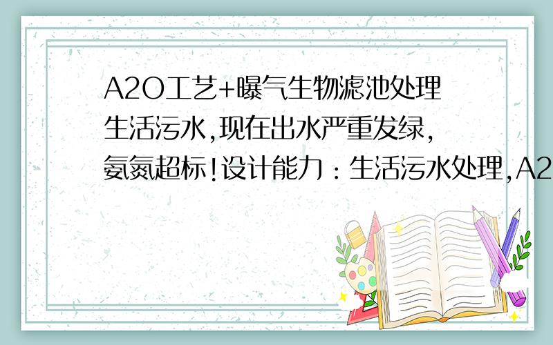 A2O工艺+曝气生物滤池处理生活污水,现在出水严重发绿,氨氮超标!设计能力：生活污水处理,A2O工艺；5000吨/天,现在调试进水为间断性式进水,180立方米/h,进水量2000吨/天；6月初到7约出,二沉池