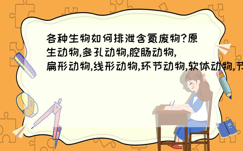 各种生物如何排泄含氮废物?原生动物,多孔动物,腔肠动物,扁形动物,线形动物,环节动物,软体动物,节肢动物,棘皮动物,脊索动物,圆口纲,鱼纲,两栖纲,爬行纲,鸟纲,哺乳纲