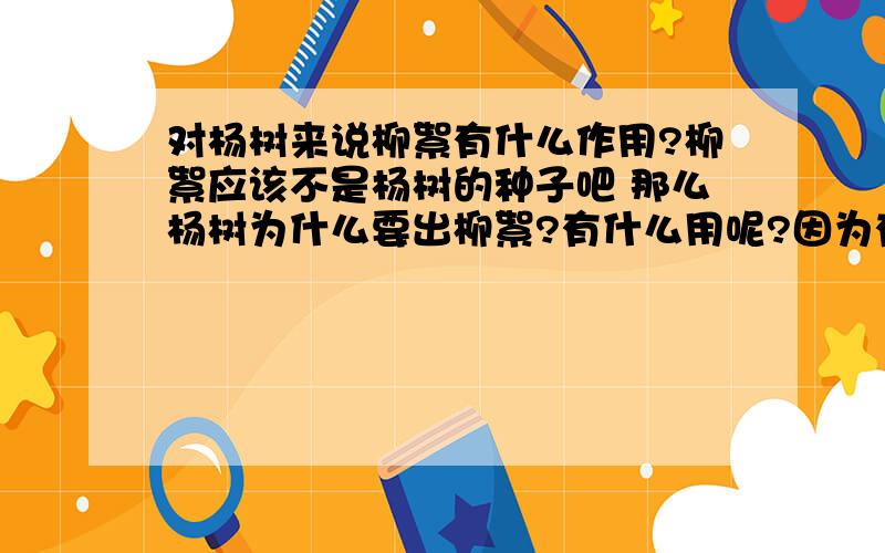 对杨树来说柳絮有什么作用?柳絮应该不是杨树的种子吧 那么杨树为什么要出柳絮?有什么用呢?因为有在电视上说 北京现在满天飞着的毛毛是 毛白杨 干的好事...