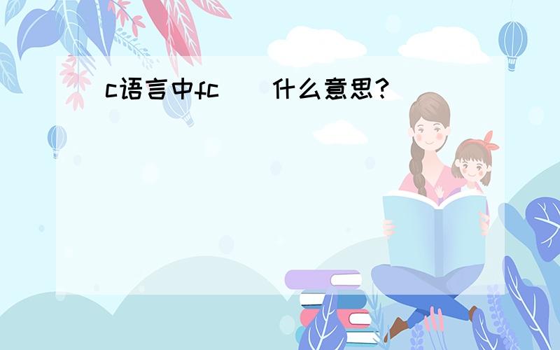 c语言中fc()什么意思?