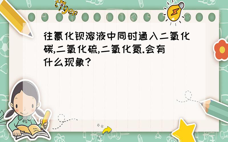 往氯化钡溶液中同时通入二氧化碳,二氧化硫,二氧化氮.会有什么现象?