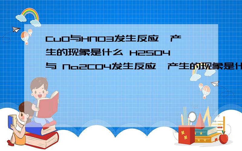 CuO与HNO3发生反应,产生的现象是什么 H2SO4 与 Na2CO4发生反应,产生的现象是什么 如何区别硫酸盐酸硝酸