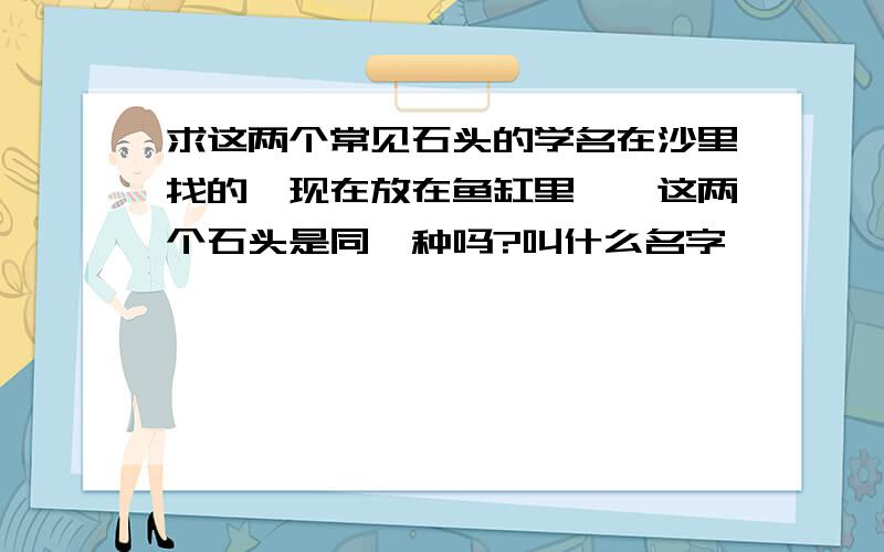 求这两个常见石头的学名在沙里找的,现在放在鱼缸里……这两个石头是同一种吗?叫什么名字