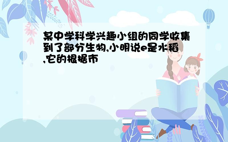 某中学科学兴趣小组的同学收集到了部分生物,小明说e是水稻,它的根据市