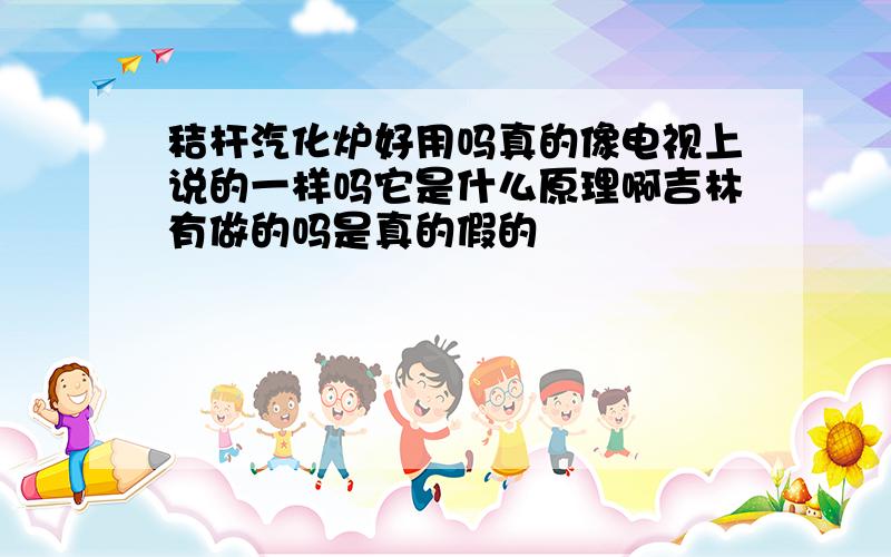 秸杆汽化炉好用吗真的像电视上说的一样吗它是什么原理啊吉林有做的吗是真的假的