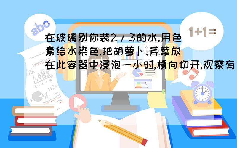 在玻璃别你装2/3的水.用色素给水染色.把胡萝卜.芹菜放在此容器中浸泡一小时,横向切开,观察有色条纹