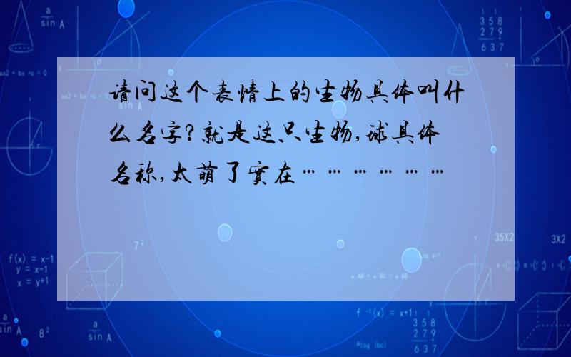 请问这个表情上的生物具体叫什么名字?就是这只生物,球具体名称,太萌了实在………………