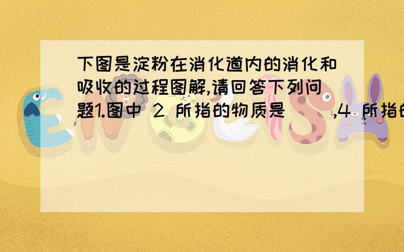 下图是淀粉在消化道内的消化和吸收的过程图解,请回答下列问题1.图中 2 所指的物质是（ ）,4 所指的物质是（ ）.2.物质 4 在小肠内由( )的毛细血管直接吸收进入( ) .