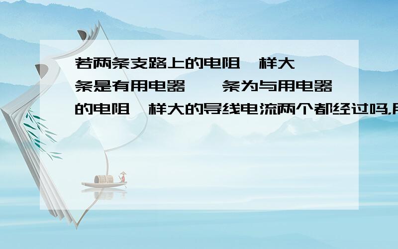 若两条支路上的电阻一样大,一条是有用电器,一条为与用电器的电阻一样大的导线电流两个都经过吗，用电器会亮吗，具体啊！！！