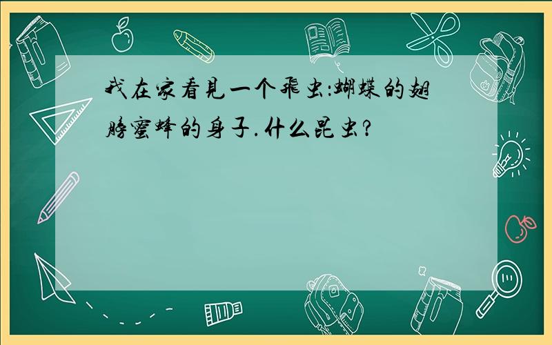 我在家看见一个飞虫：蝴蝶的翅膀蜜蜂的身子.什么昆虫?