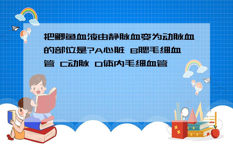 把鲫鱼血液由静脉血变为动脉血的部位是?A心脏 B腮毛细血管 C动脉 D体内毛细血管