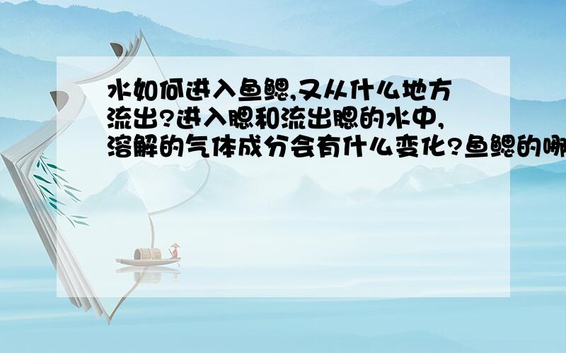 水如何进入鱼鳃,又从什么地方流出?进入腮和流出腮的水中,溶解的气体成分会有什么变化?鱼鳃的哪些特点对水中是至关重要的?