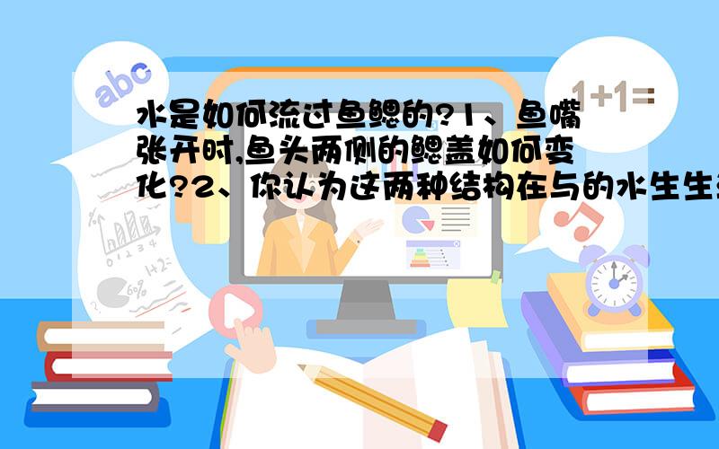 水是如何流过鱼鳃的?1、鱼嘴张开时,鱼头两侧的鳃盖如何变化?2、你认为这两种结构在与的水生生活中起什么作用?