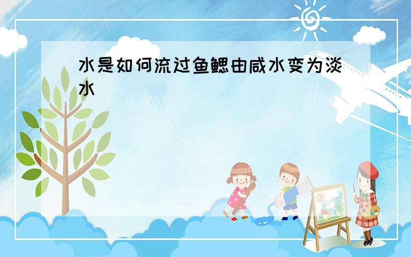 水是如何流过鱼鳃由咸水变为淡水