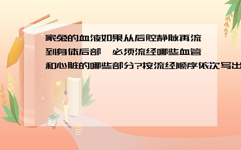 家兔的血液如果从后腔静脉再流到身体后部,必须流经哪些血管和心脏的哪些部分?按流经顺序依次写出他们的名称