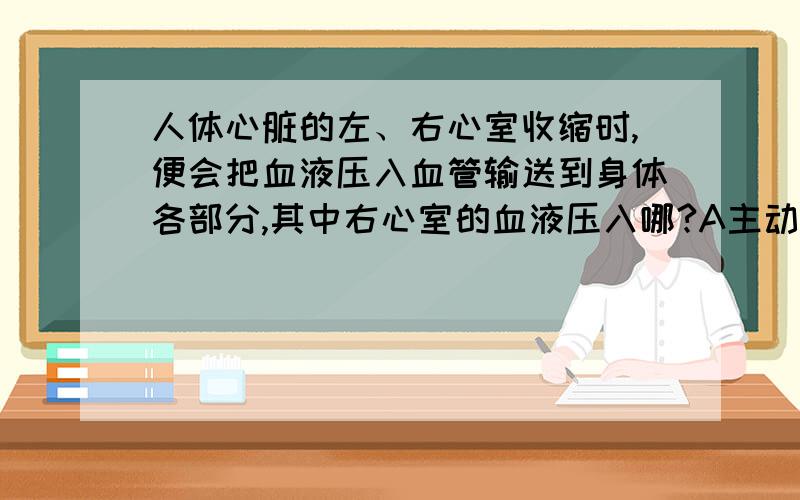 人体心脏的左、右心室收缩时,便会把血液压入血管输送到身体各部分,其中右心室的血液压入哪?A主动脉 B肺动脉 C上、下静脉 D肺静脉