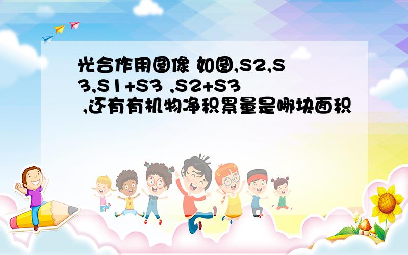 光合作用图像 如图,S2,S3,S1+S3 ,S2+S3 ,还有有机物净积累量是哪块面积