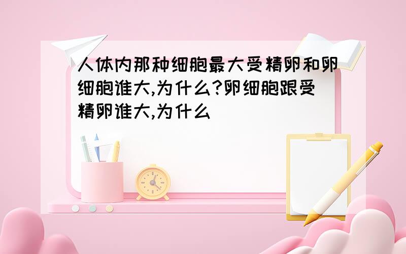 人体内那种细胞最大受精卵和卵细胞谁大,为什么?卵细胞跟受精卵谁大,为什么