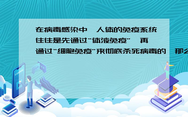 在病毒感染中,人体的免疫系统往往是先通过“体液免疫”,再通过“细胞免疫”来彻底杀死病毒的,那么这整