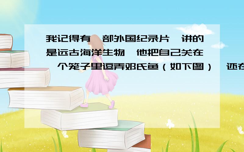 我记得有一部外国纪录片,讲的是远古海洋生物,他把自己关在一个笼子里逗弄邓氏鱼（如下图）,还在船边介绍巨齿鲨,在与巨齿鲨近距离接触时他说了这样一句话“傻瓜,快收回去~,对不起,我