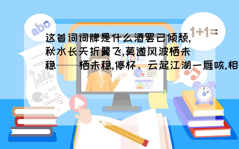 这首词词牌是什么酒罢已倾颓,秋水长天折翼飞,莫道风波栖未稳——栖未稳,停杯、云起江湖一雁咴.相望已相违,五弦无情信手挥.若到淮边惊夜冷——惊夜冷,披衣、与谁相伴与谁归