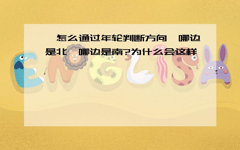 ●怎么通过年轮判断方向●哪边是北,哪边是南?为什么会这样