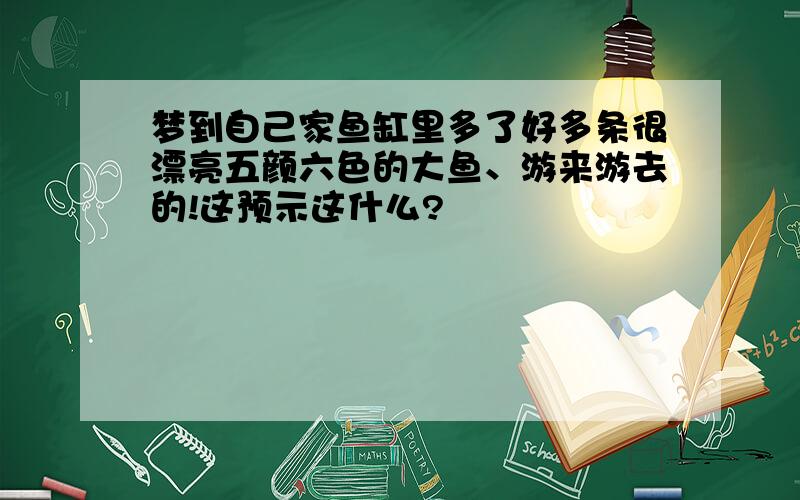 梦到自己家鱼缸里多了好多条很漂亮五颜六色的大鱼、游来游去的!这预示这什么?