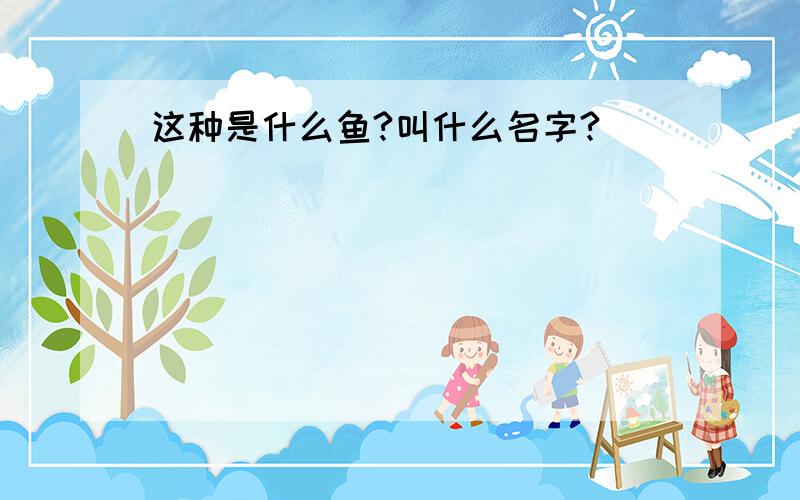 这种是什么鱼?叫什么名字?