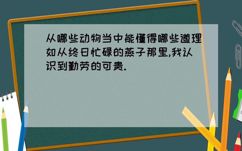 从哪些动物当中能懂得哪些道理如从终日忙碌的燕子那里,我认识到勤劳的可贵.