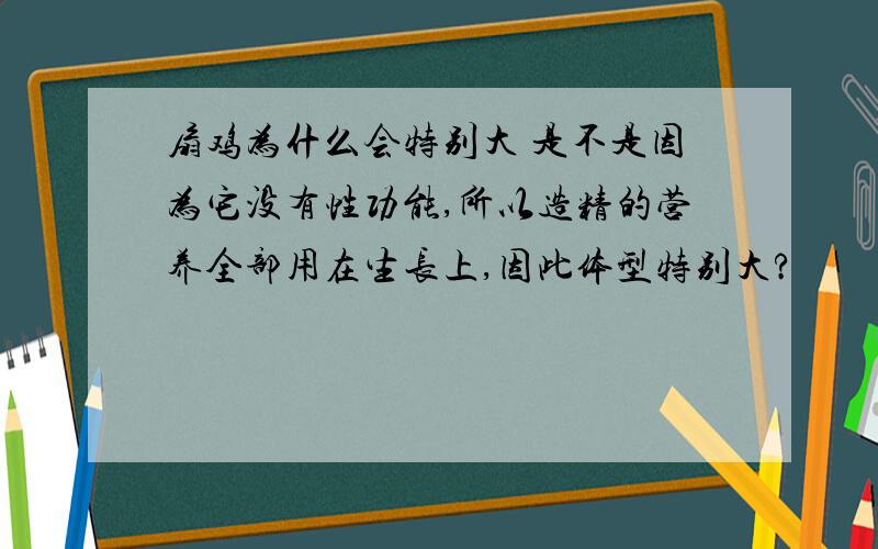 扇鸡为什么会特别大 是不是因为它没有性功能,所以造精的营养全部用在生长上,因此体型特别大?