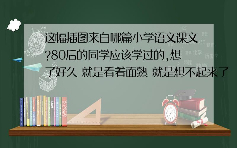 这幅插图来自哪篇小学语文课文?80后的同学应该学过的,想了好久 就是看着面熟 就是想不起来了